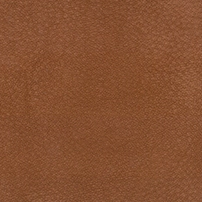 GN.A623-落日哈尼